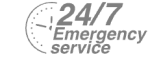 24/7 Emergency Service Pest Control in Shoreditch, E2. Call Now! 020 8166 9746
